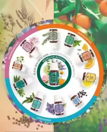 Catálogo Biogreen Página 99