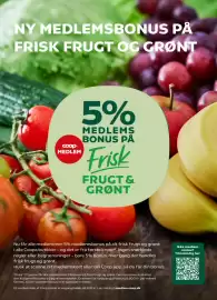 Kvickly tilbudsavis uge 5 Side 19