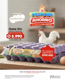 Catálogo Surtifamiliar Página 2