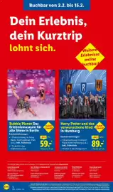 Lidl Reisen Prospekt Seite 2
