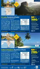 Lidl Reisen Prospekt Seite 41