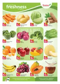 Shaklan leaflet Page 2