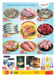 Shaklan leaflet Page 3