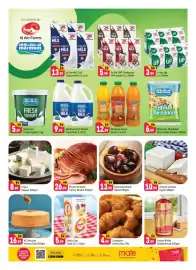 Shaklan leaflet Page 4