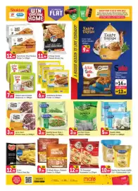 Shaklan leaflet Page 5