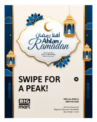 Bigmart leaflet (valid until 8-02)