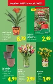 Lidl folder week 6 Pagina 35
