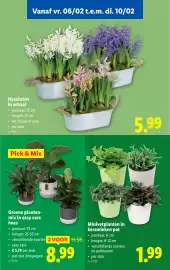 Lidl folder week 6 Pagina 49