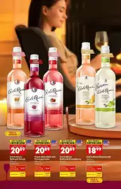 Biedronka gazetka | Alkohole Strona 9