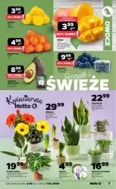 Netto gazetka tydzień 6 Strona 7