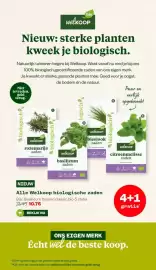 Welkoop folder Pagina 12