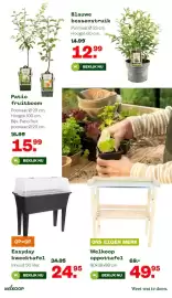 Welkoop folder Pagina 14