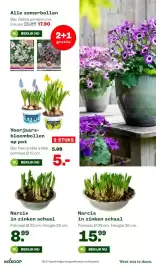 Welkoop folder Pagina 15