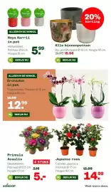 Welkoop folder Pagina 16