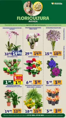 Catálogo Supermercados Avenida (válido até 4-02)