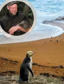 Flight Centre brochure Page 28