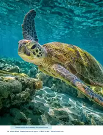 Flight Centre brochure Page 38