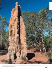 Flight Centre brochure Page 43