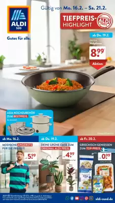 Aldi Süd Prospekt (gültig bis 22-02)