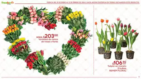 Folleto Fresko Página 2