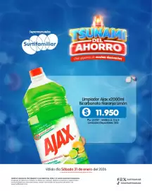 Catálogo Surtifamiliar Página 5