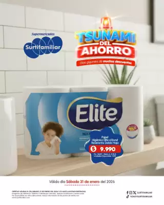 Catálogo Surtifamiliar (válido hasta 31-01)