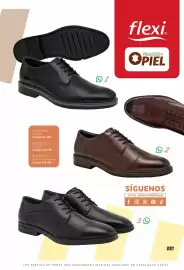 Catálogo SC Pakar Página 227