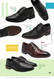 Catálogo SC Pakar Página 237