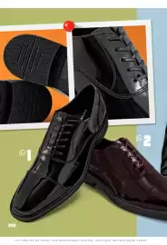 Catálogo SC Pakar Página 242