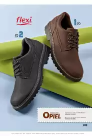 Catálogo SC Pakar Página 249