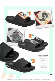 Catálogo SC Pakar Página 29