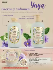 Catálogo Andrea Página 100