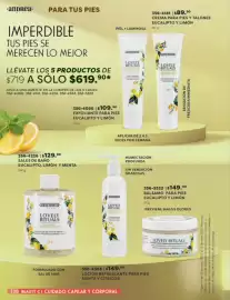 Catálogo Andrea Página 110