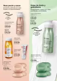 Catálogo Natura Página 101