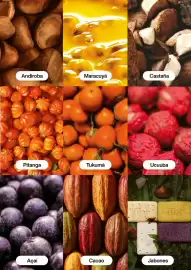 Catálogo Natura Página 102