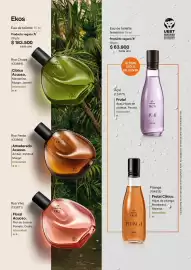 Catálogo Natura Página 31