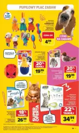 Carrefour Market gazetka Strona 11