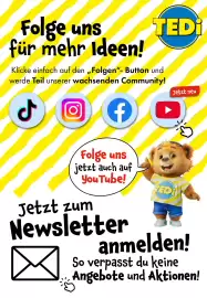 TEDi Prospekt woche 5 Seite 12