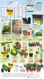 Wiglo Wunderland Prospekt woche 6 Seite 11