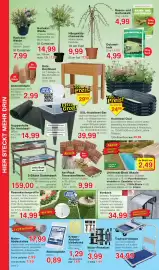 Wiglo Wunderland Prospekt woche 6 Seite 8