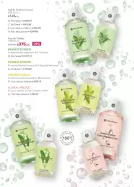 Catálogo Yves Rocher Página 28