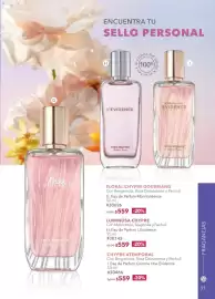 Catálogo Yves Rocher Página 31