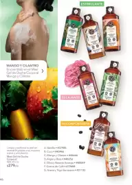 Catálogo Yves Rocher Página 42