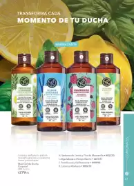 Catálogo Yves Rocher Página 43