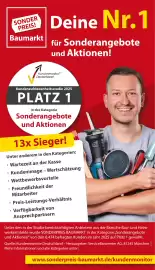 Sonderpreis Baumarkt Prospekt woche 6 Seite 3