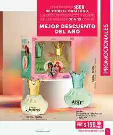 Catálogo Zermat Página 11