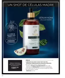 Catálogo Zermat Página 111