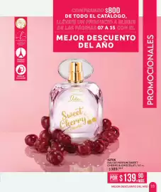 Catálogo Zermat Página 13