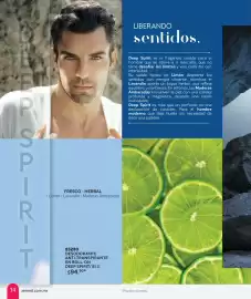 Catálogo Zermat Página 14