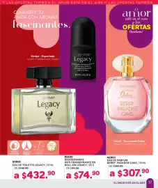 Catálogo Zermat Página 17